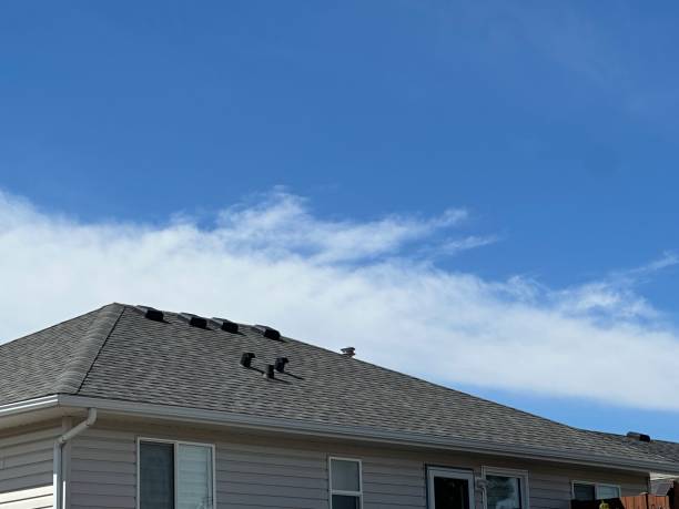 Best Roof Ventilation Installation  in Chandler, OK